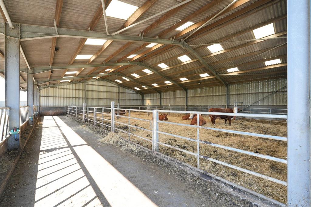 Cattle Shed