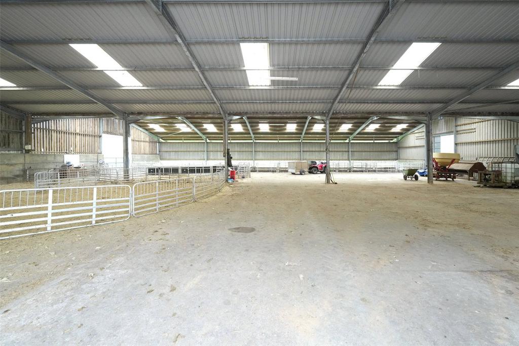 Lambing Shed