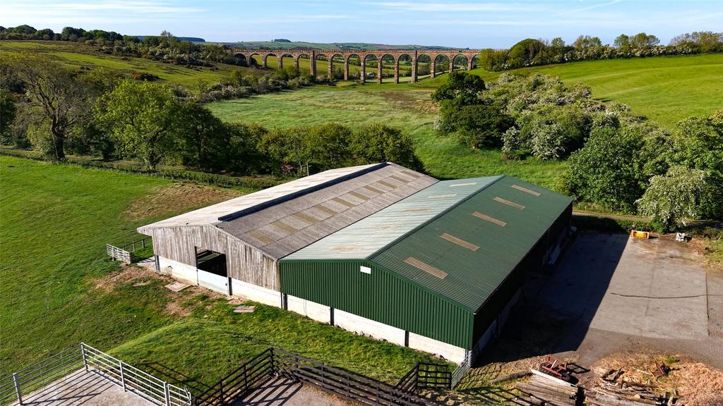 Lambing Shed