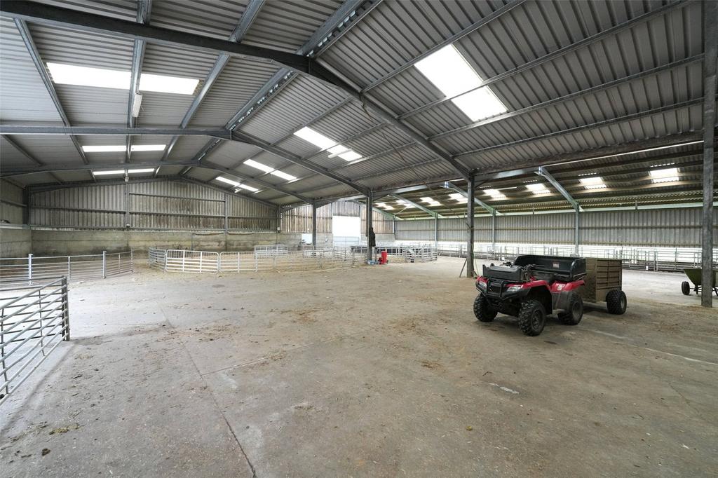 Lambing Shed