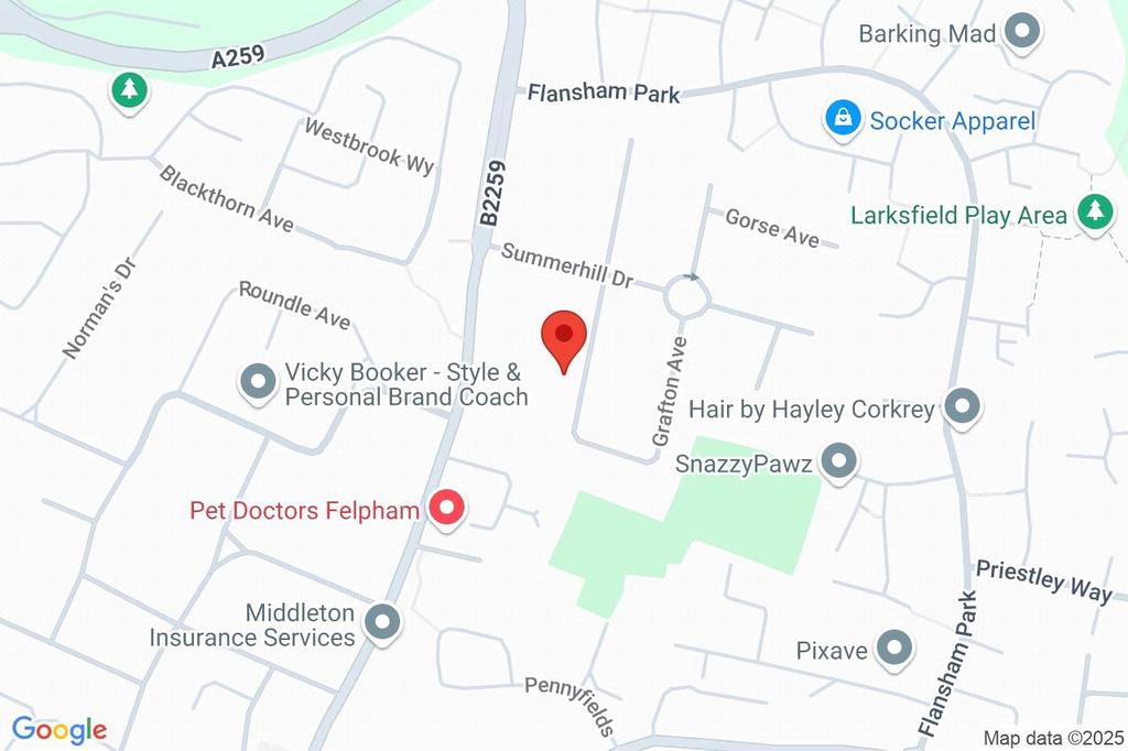 Google Maps Image