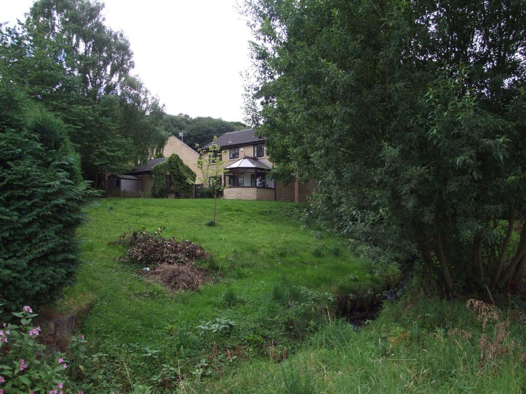 Photograph 9