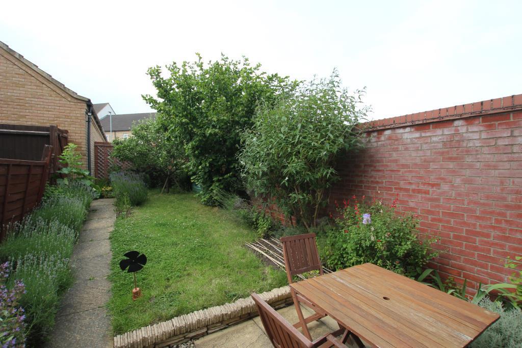 Garden.JPG