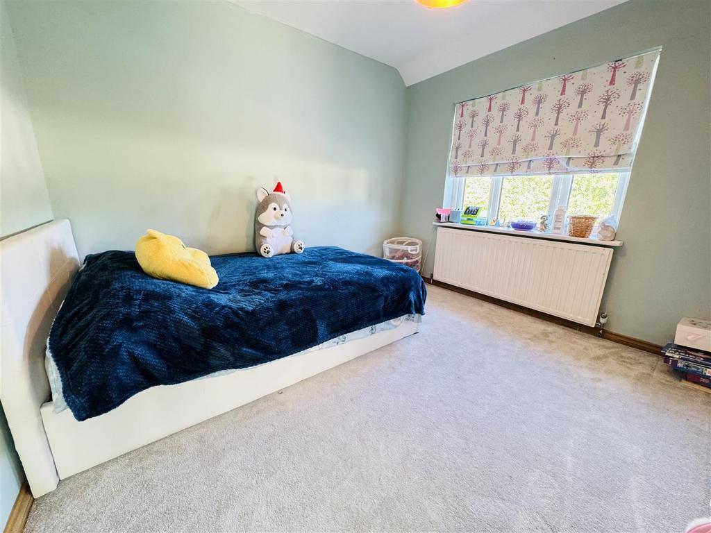 IMG 0484 copy.jpg