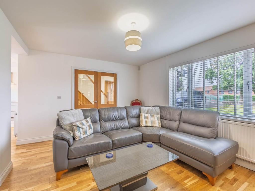 New back lounge
