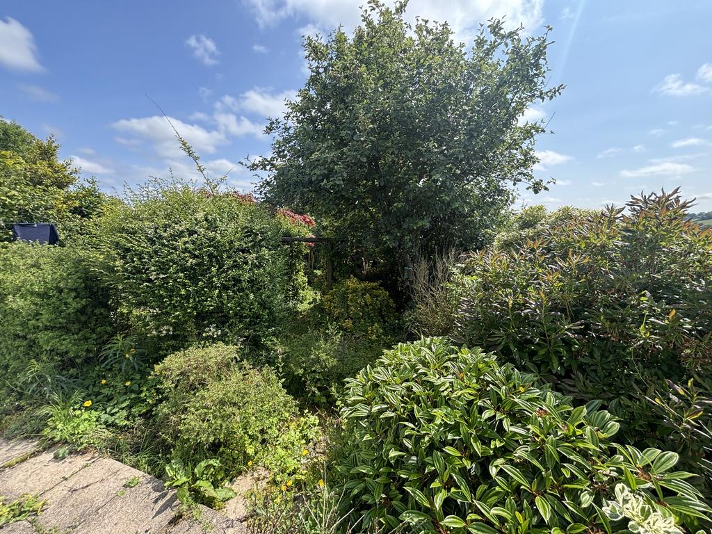 Garden (third image)