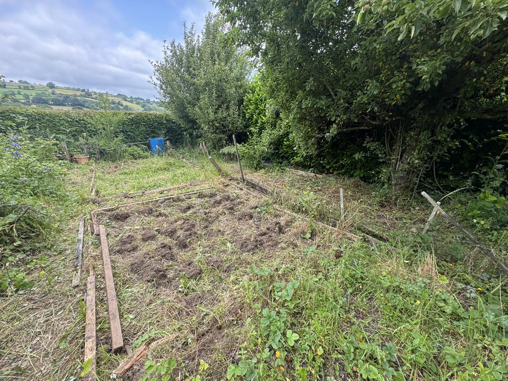 Former vegetable growing area