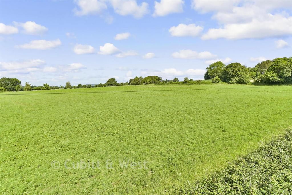 Surrounding Area