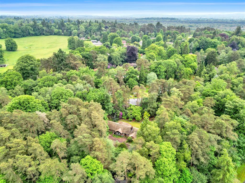 DJI 0459.jpg