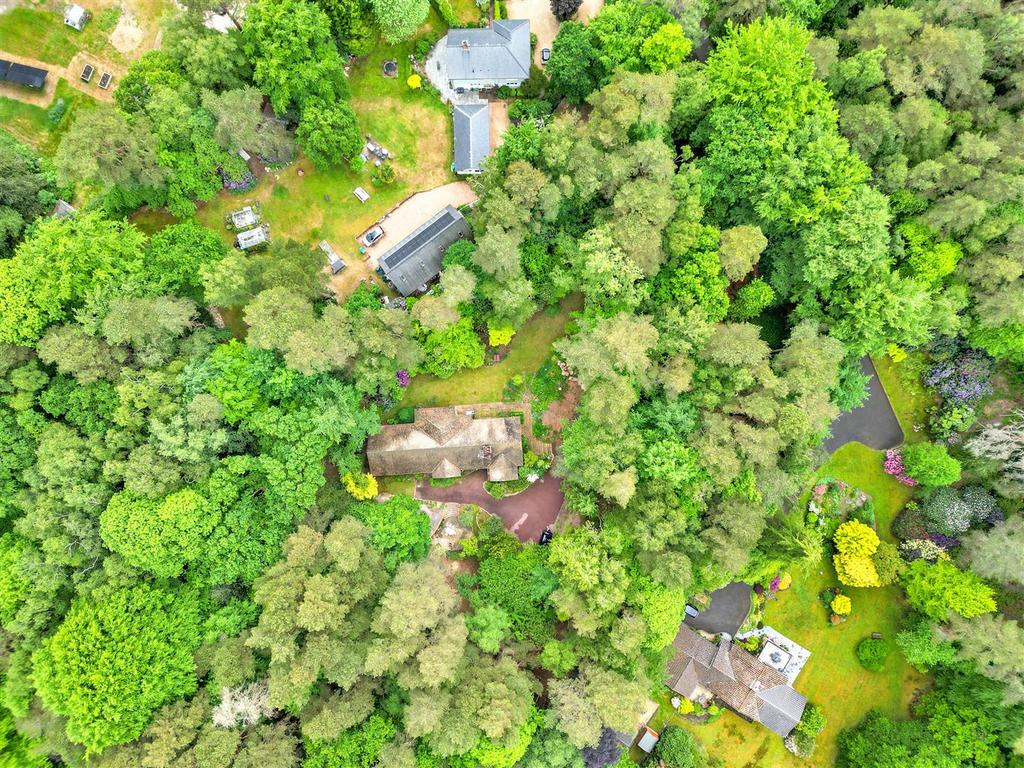 DJI 0457.jpg