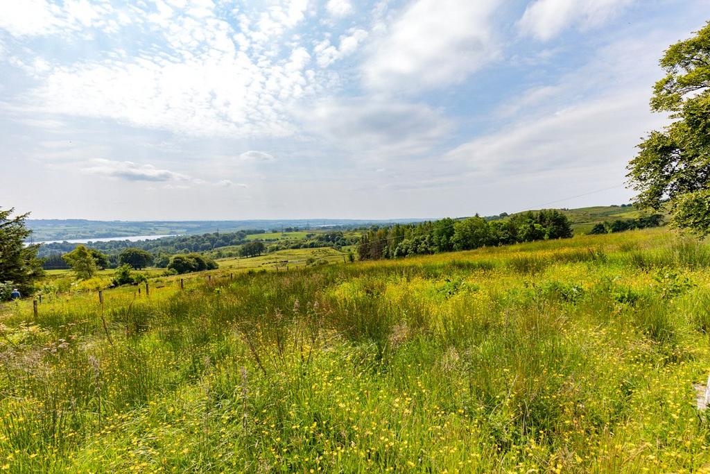 Grazing Land