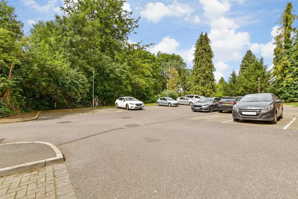 Driveway/Parking