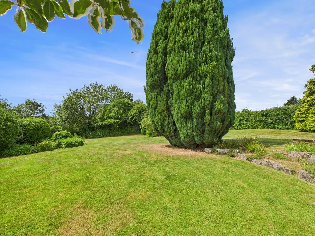 Garden 3