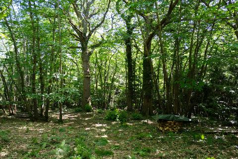 undefined, Wood Lane, Wartling BN27