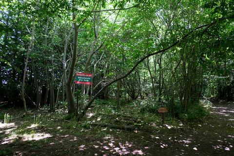 undefined, Wood Lane, Wartling BN27