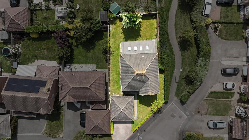 DJI 20250216165028 0791 D.jpg