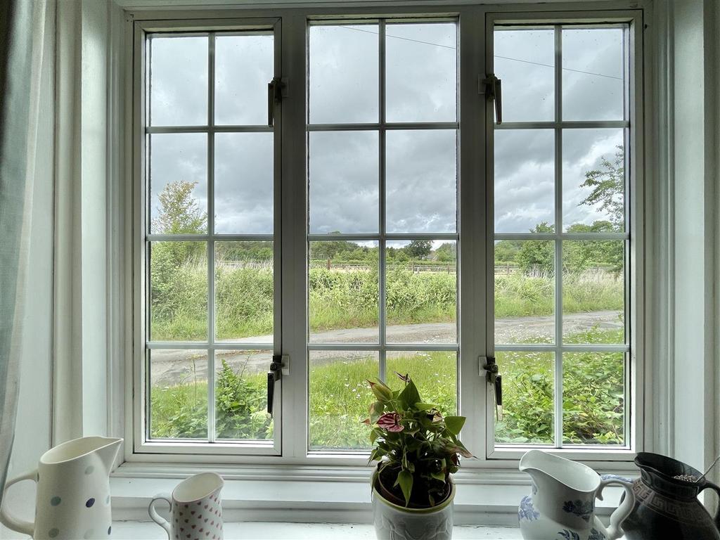 Window
