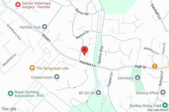Google Maps Image