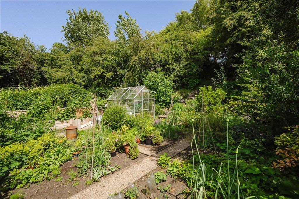 Vegetable Garden