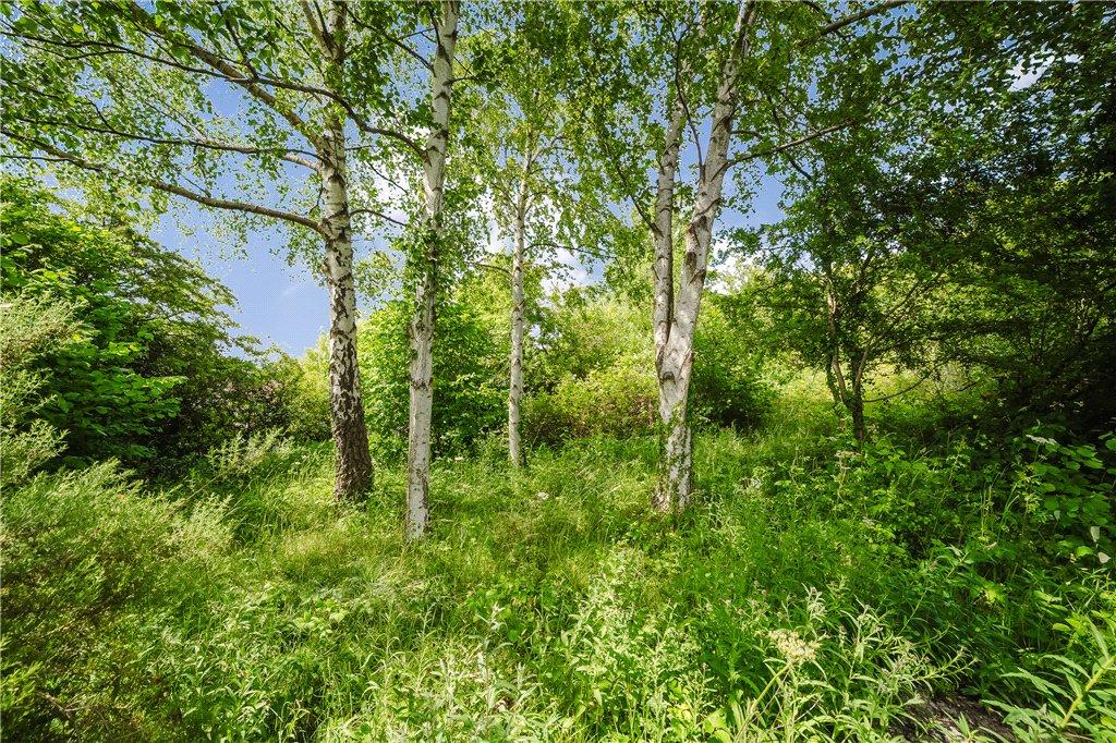 Wild Flower Wood