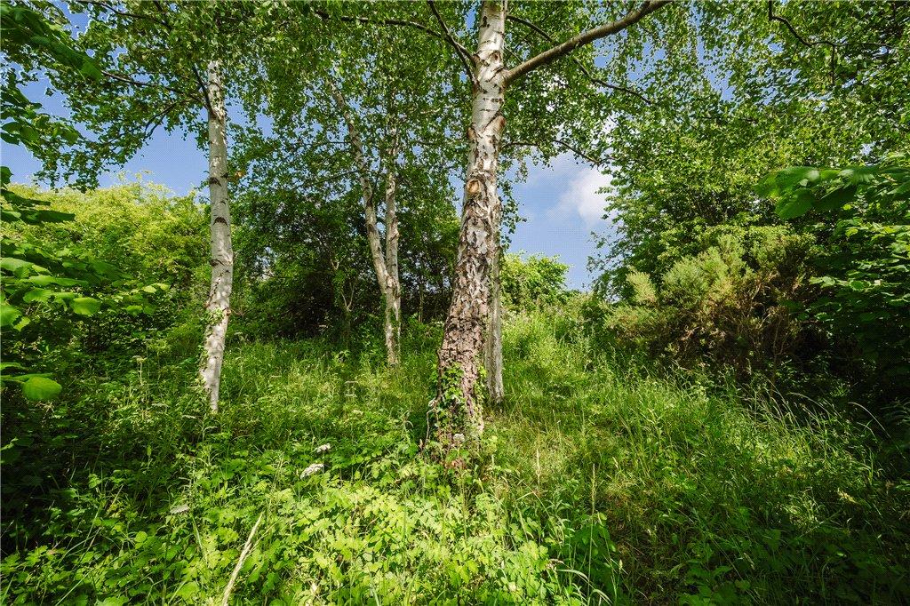 Wild Flower Wood