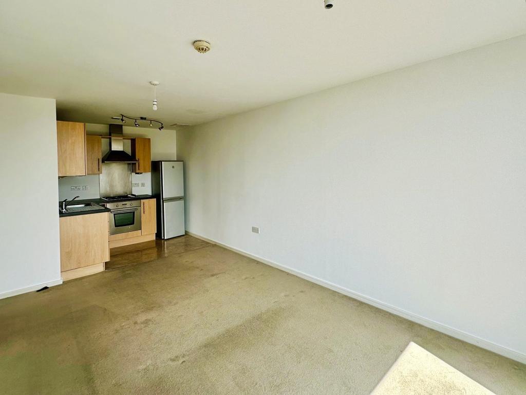Living Area/Kitchen