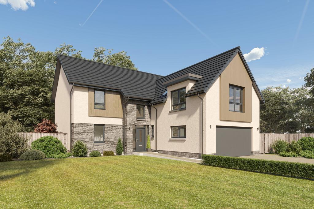 Ballagan woods, killearn