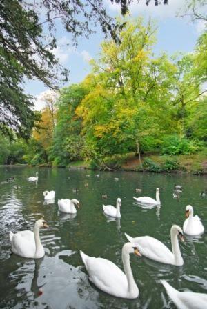 Wycombes River Wye