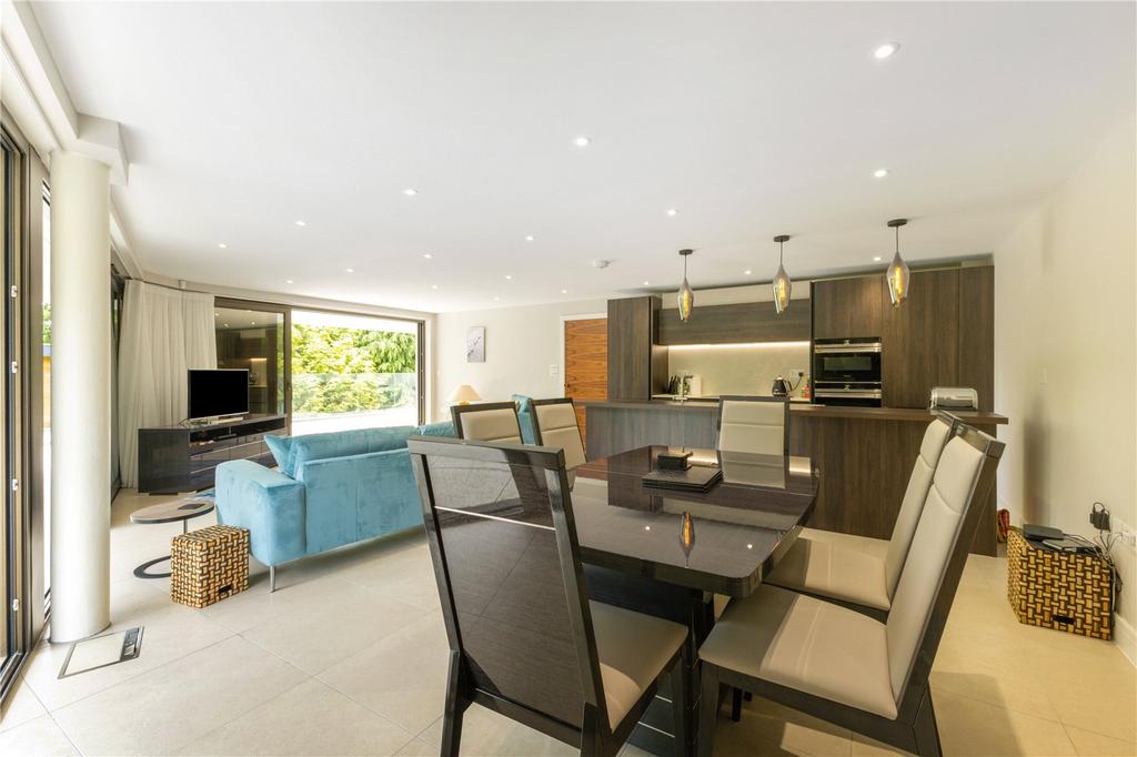 Dining/Living Area