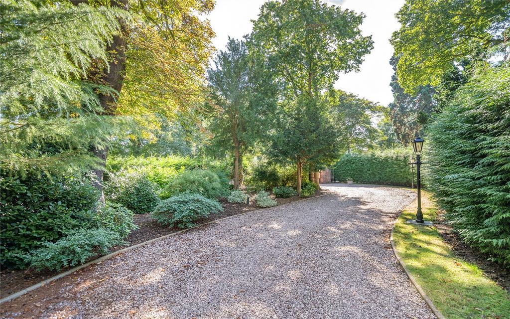 Driveway
