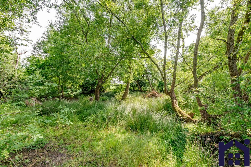 Woodland