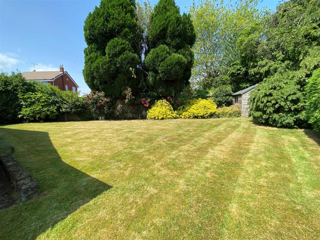 Garden 2.jpg