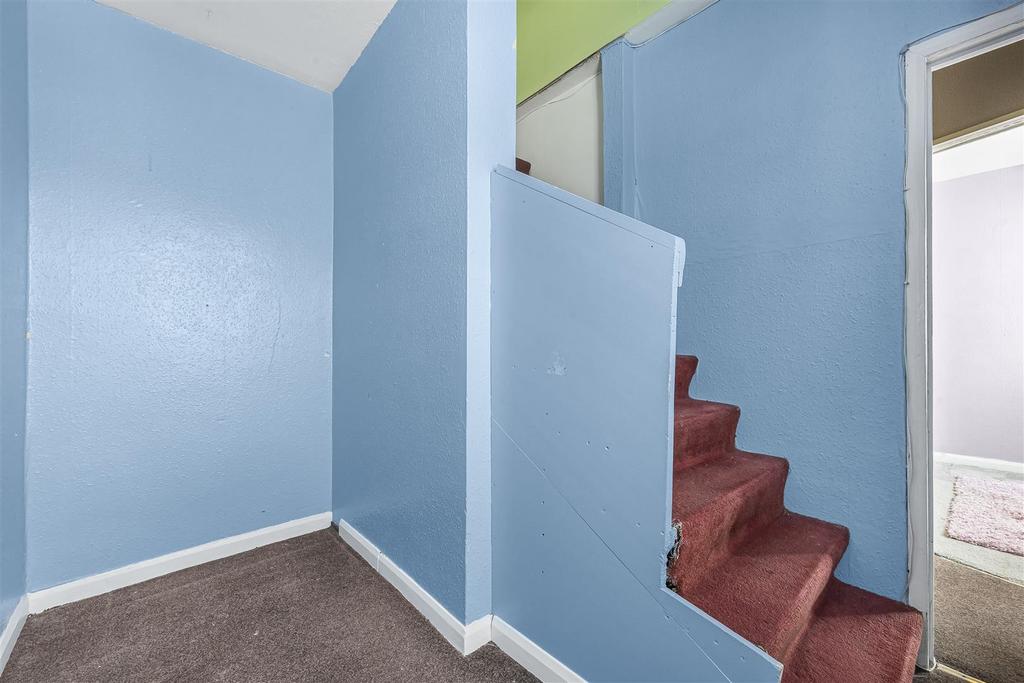 3 56499.jpg