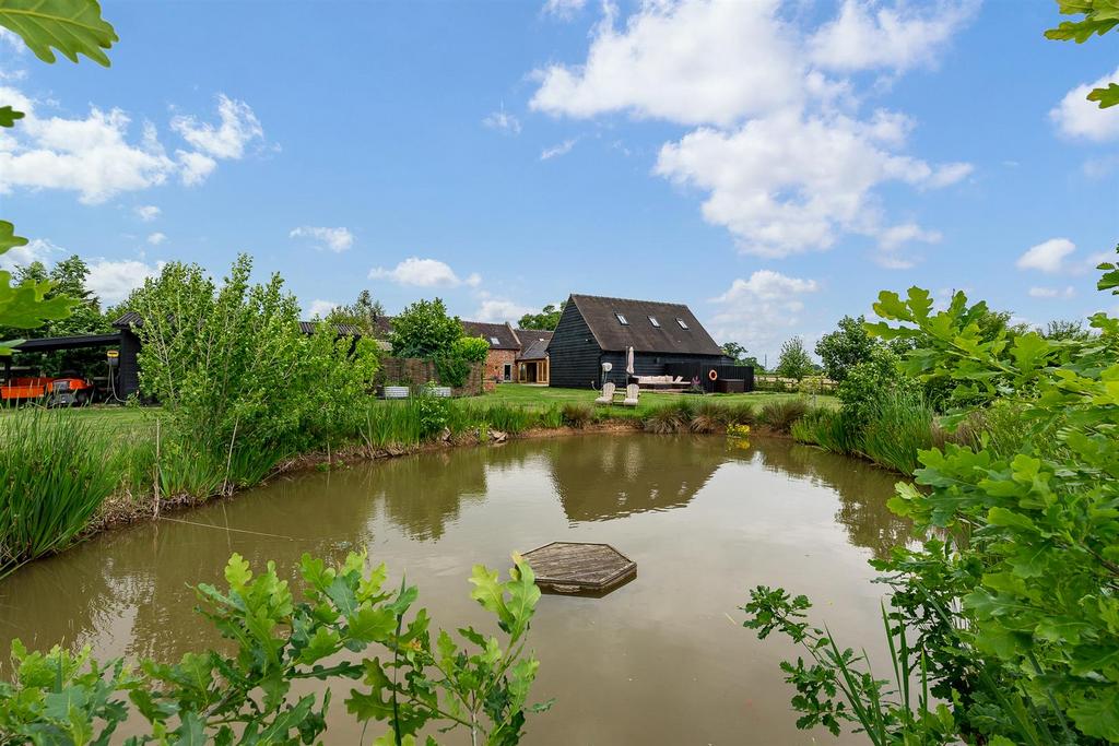 Pond.jpg