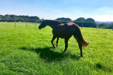 undefined, Butcherfield Lane, Hartfield, East Sussex, TN7