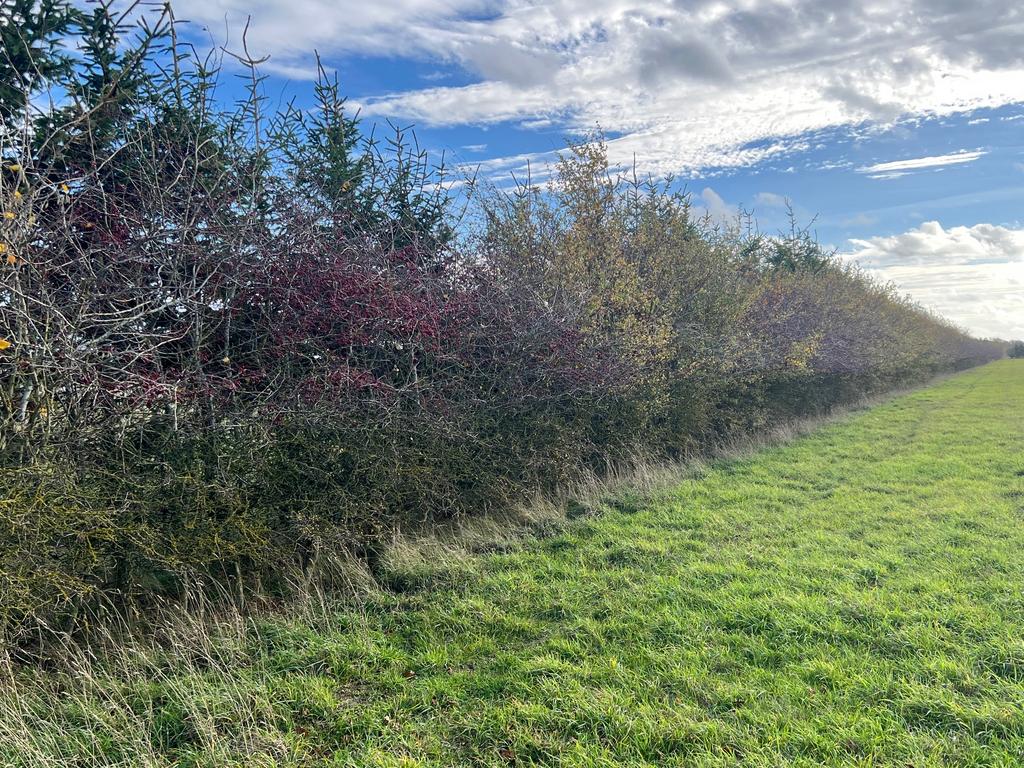 Land at Baston