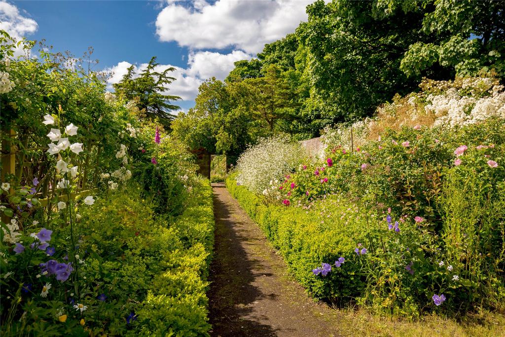 Kitchen Garden