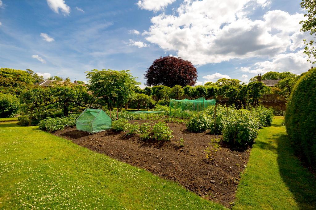 Kitchen Garden