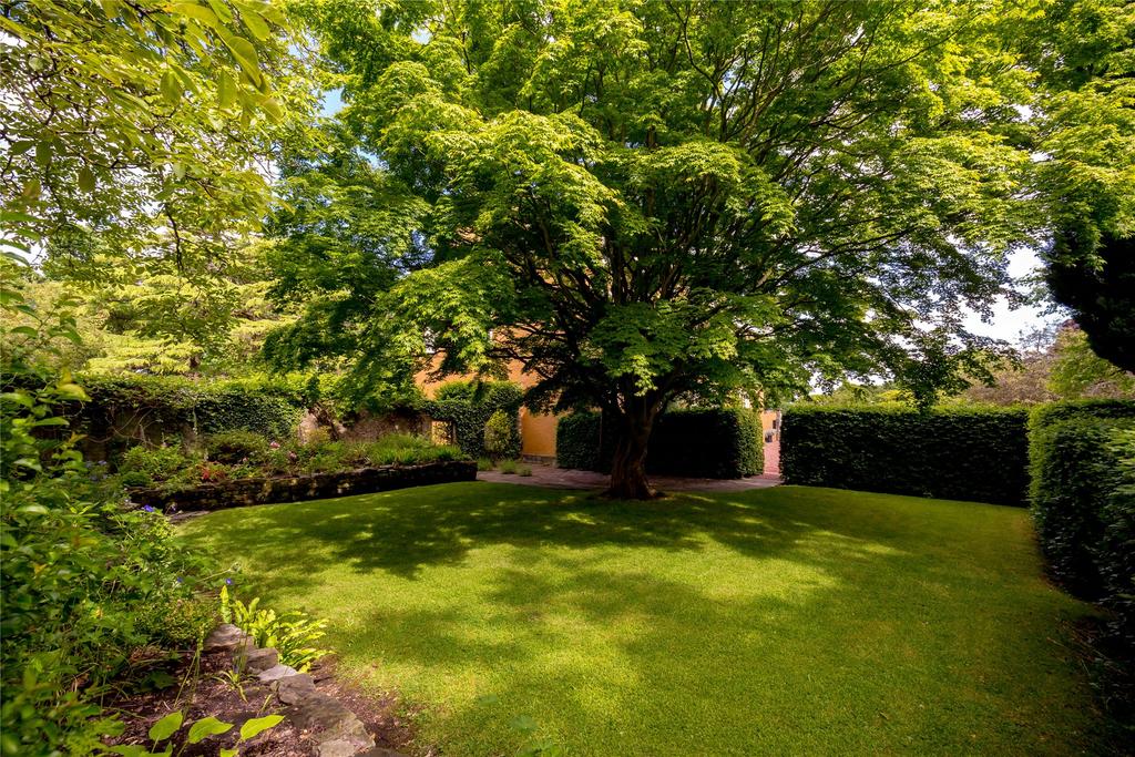 Courtyard Garden