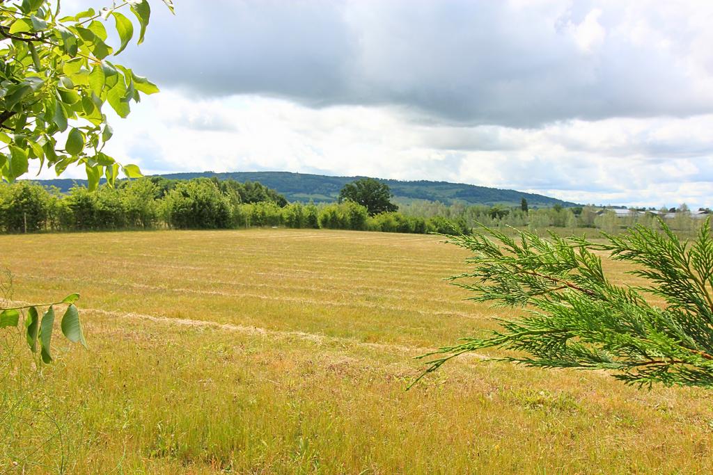 Views to Bredon