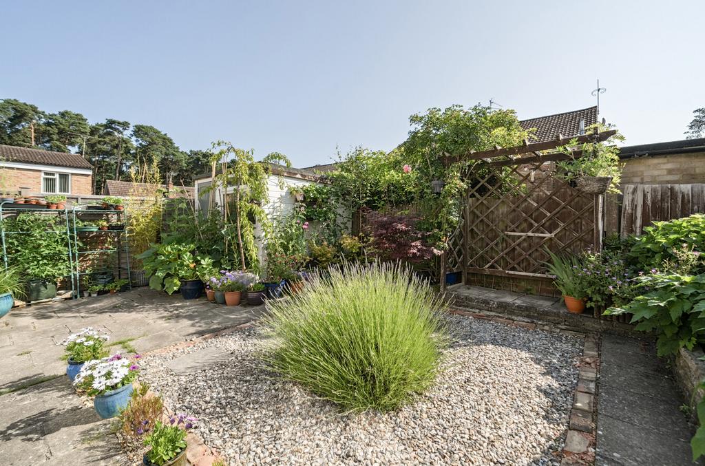 1311464-16-6853cd...