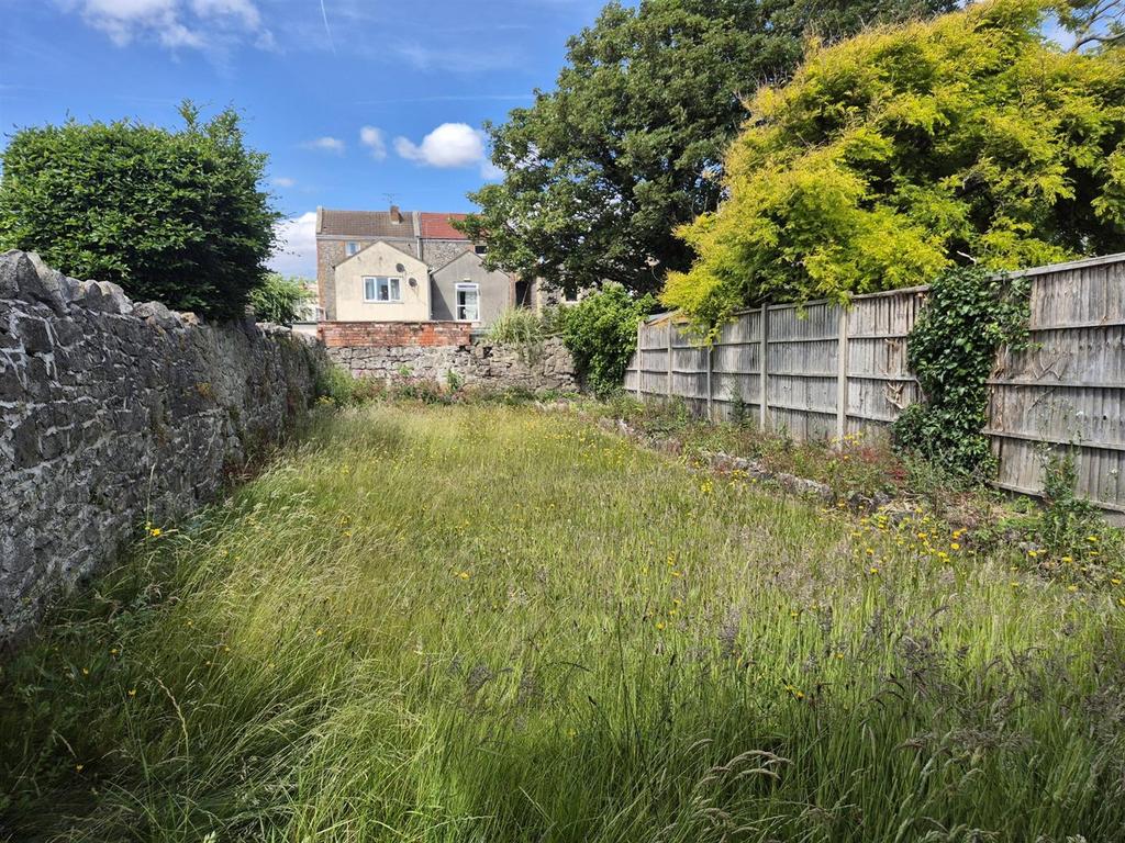 20250611 150657 resized.jpg