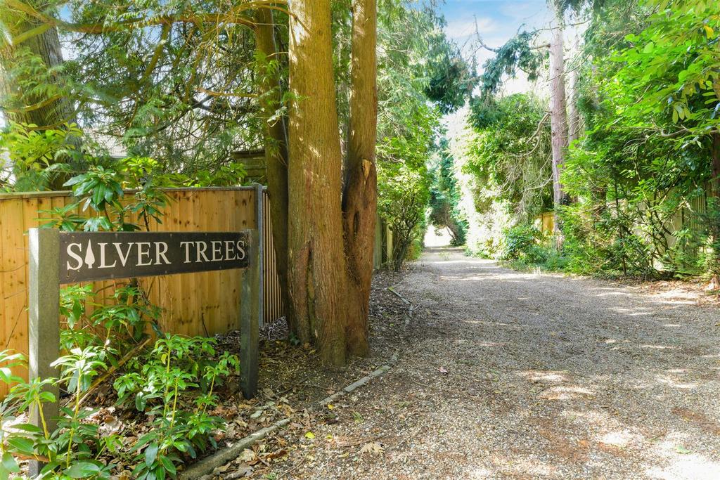 SILVER TREE EXTERNALS- (2).jpg