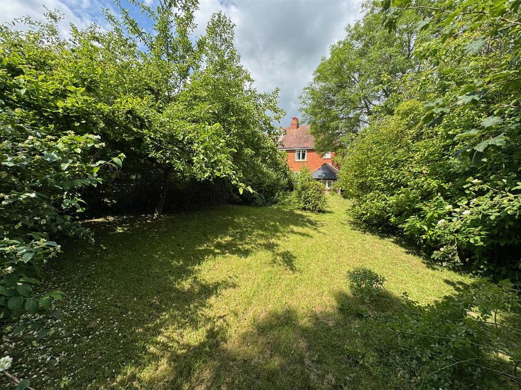 Garden 4.jpg