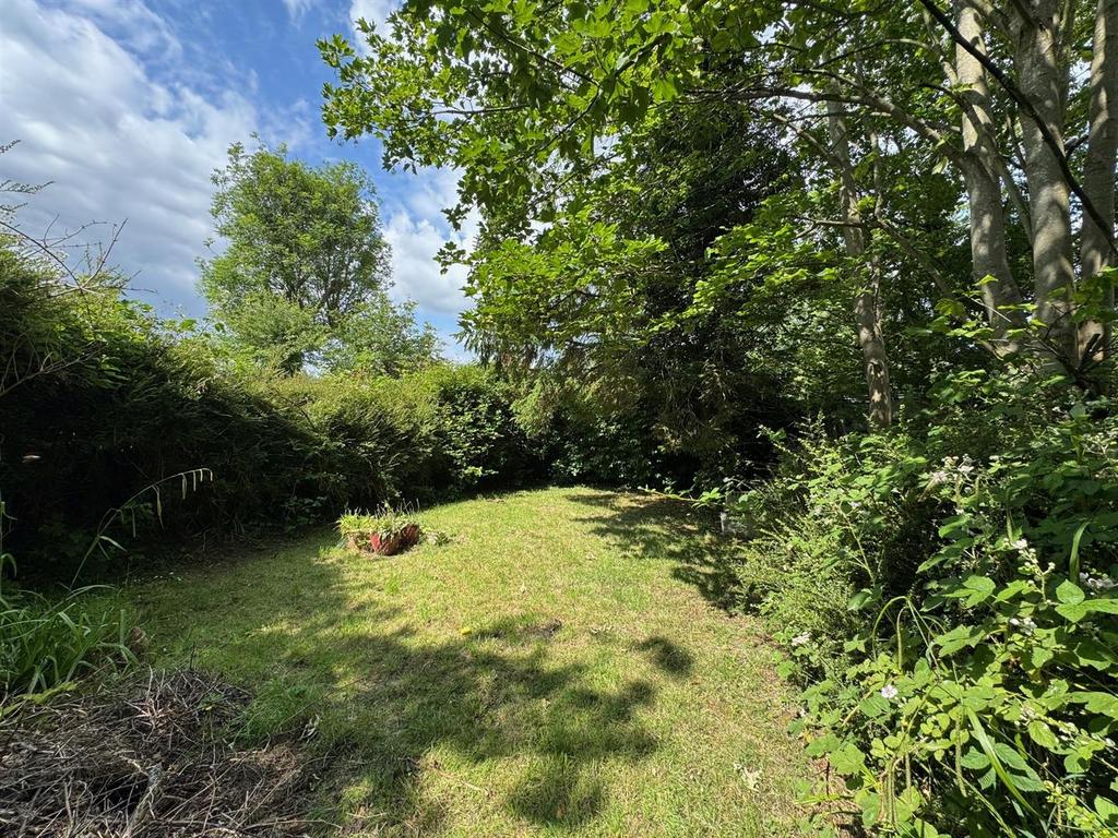 Garden 6.jpg