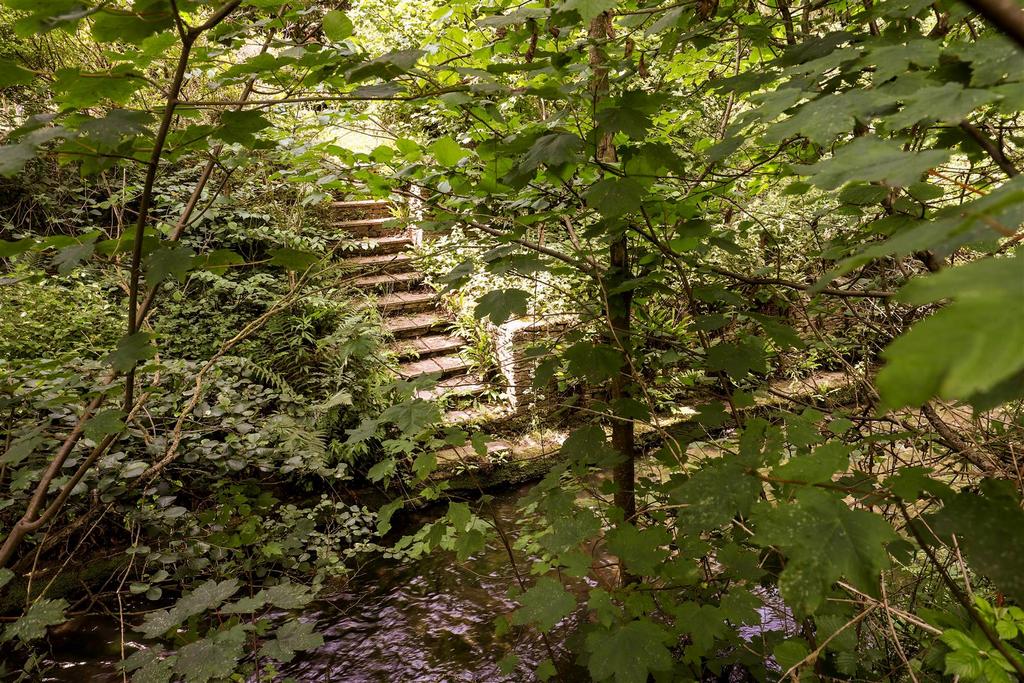 Sketch Ph34 6024001.jpg