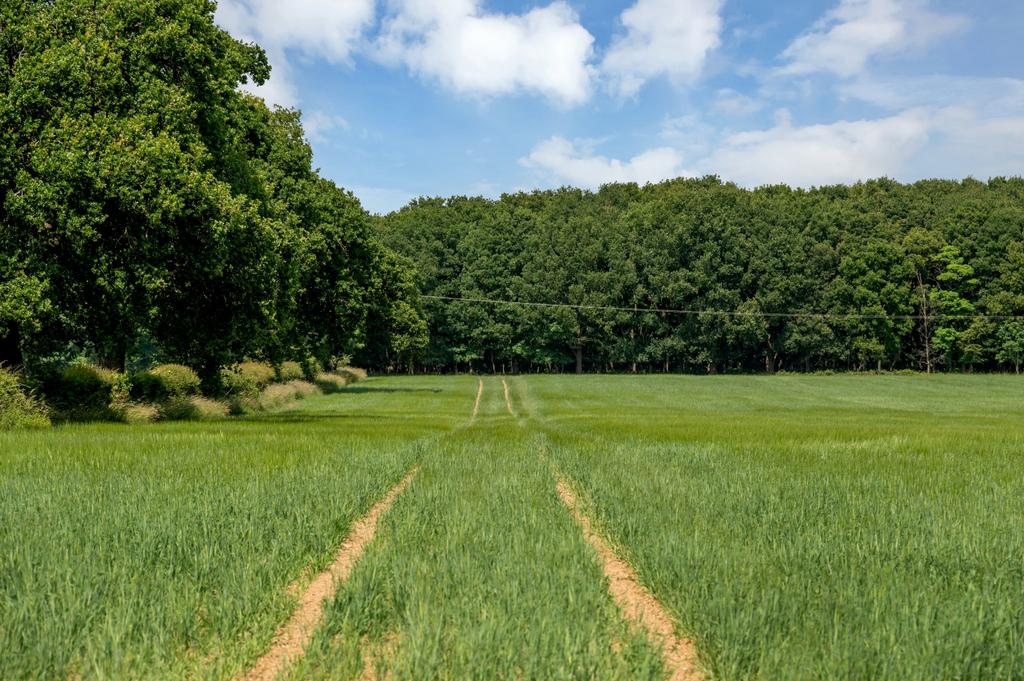 Land