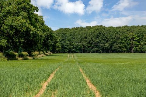 undefined, Belton, Grantham, Lincolnshire