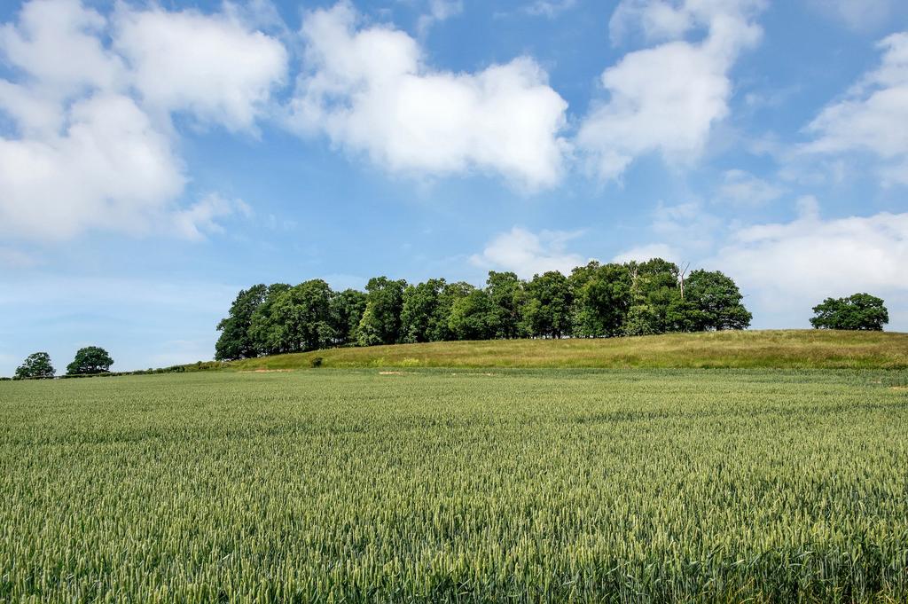 Land