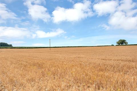 undefined, Belton, Grantham, Lincolnshire